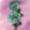 rose (content editor)